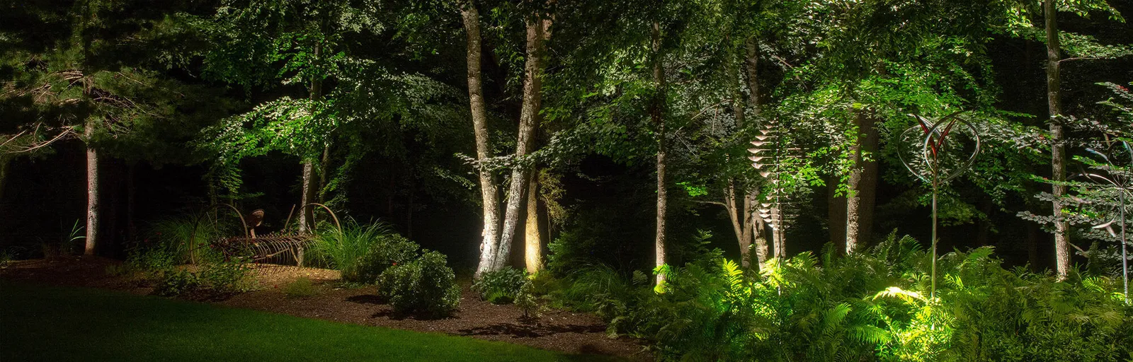 Garden grove illuminated at night