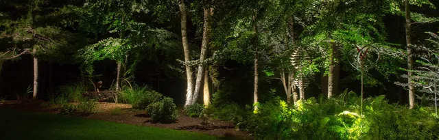 Garden grove illuminated at night