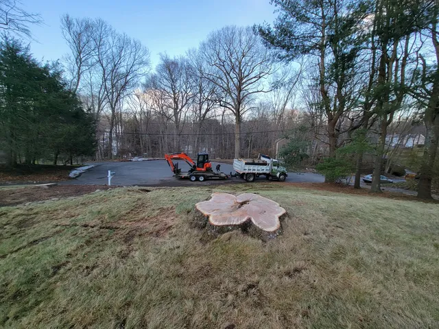 work photo from angelotreeservices.com