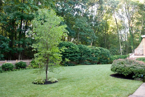 work photo from rmaggiolandscape.com