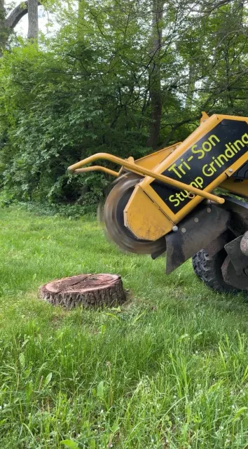Tri-Son Stump Grinding researched project photo