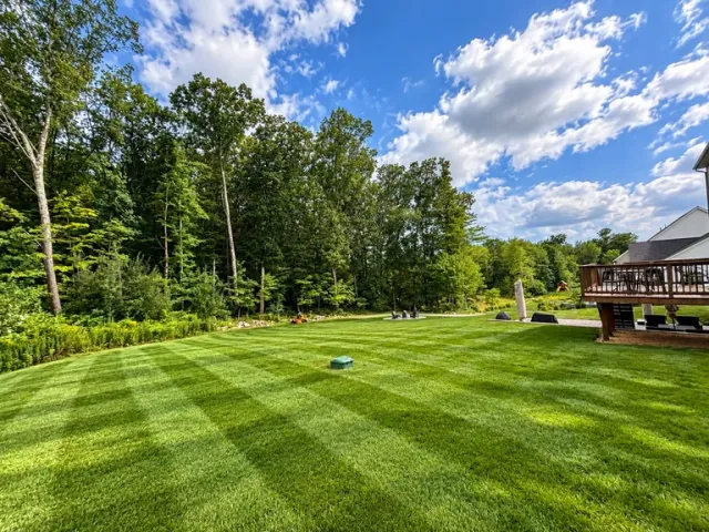 Manicured lawn with striped mowing pattern, surrounded by green trees and a wooden deck, under partly cloudy blue sky