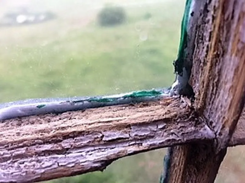 work photo from windowrestorationcapecod.com