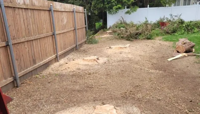 stump grinding services in ri mass ct