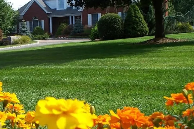 work photo from sarangolandscaping.com