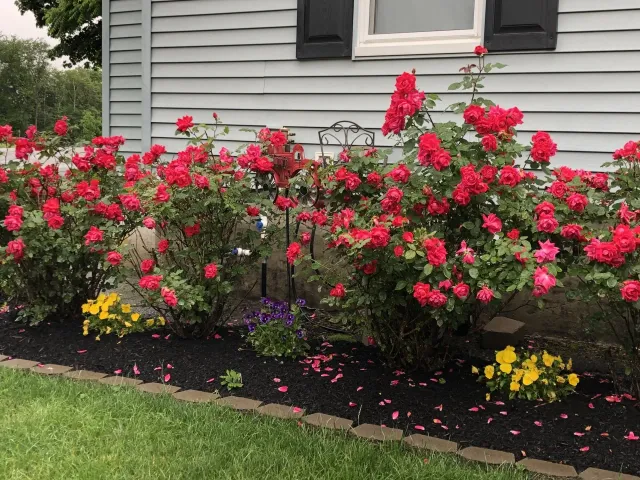 work photo from acelandscaping.com