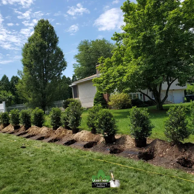 Easy Way Landscaping & Paving