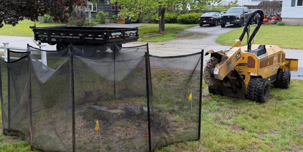 Stump Grinding Done Right