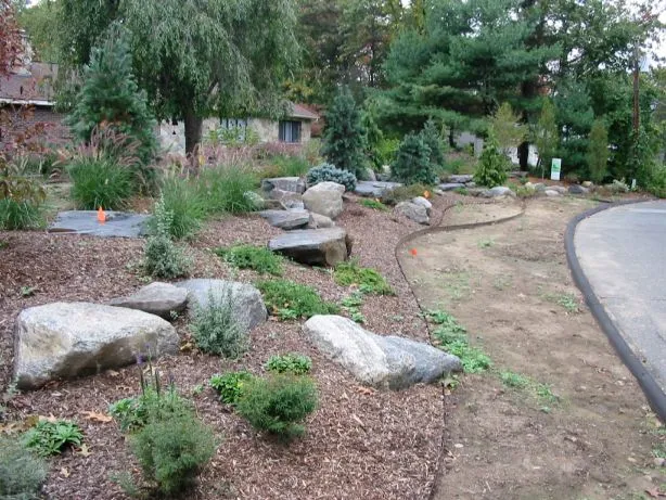 Green Site and Landscape Design