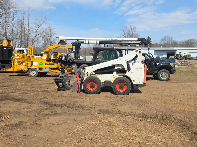 MacKenzie Tree, LLC work photo
