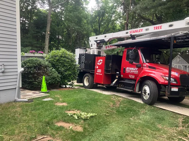 Stanley Tree Service, Inc work photo