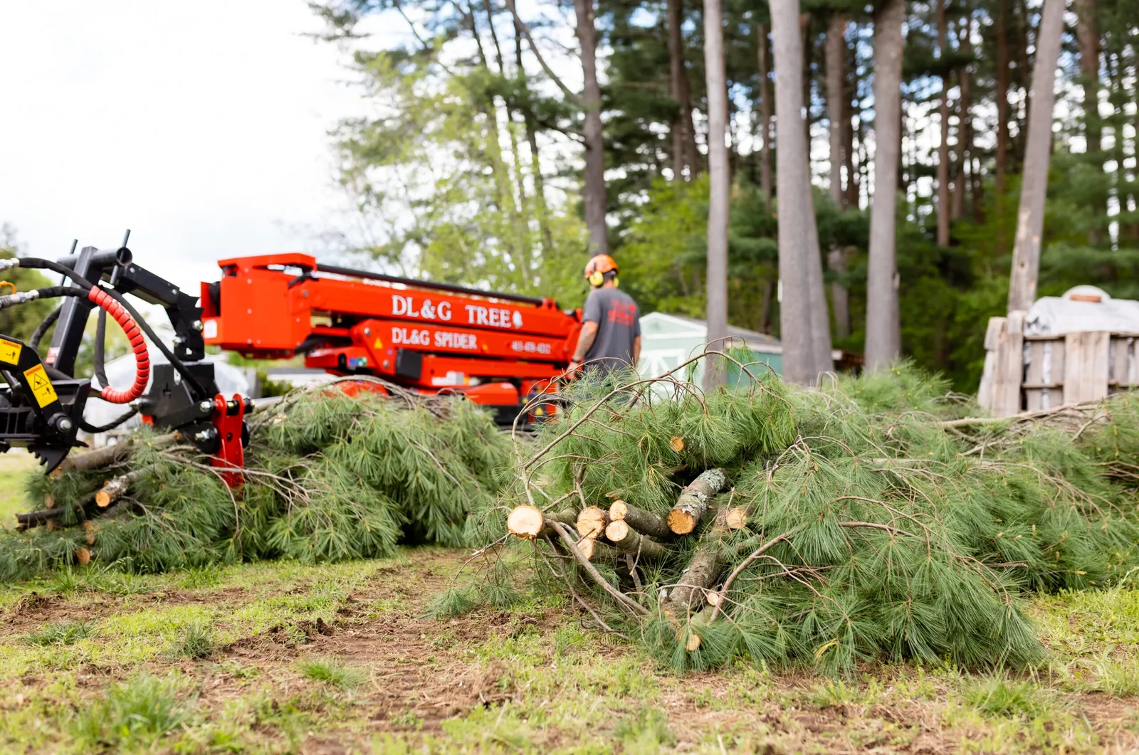 work photo from dlandgtree.com