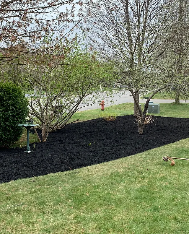 Nirvana Landscape researched project photo