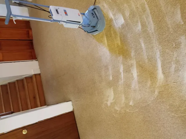 Hoffman's Carpet Care work photo