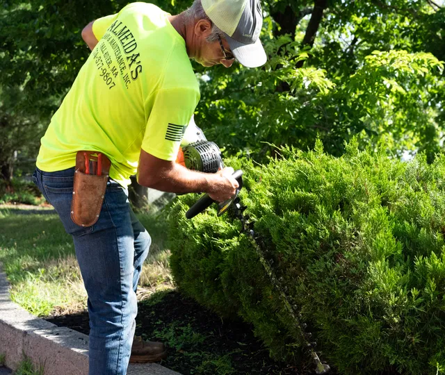 Almeida's Lawn & Maintenance INC. work photo