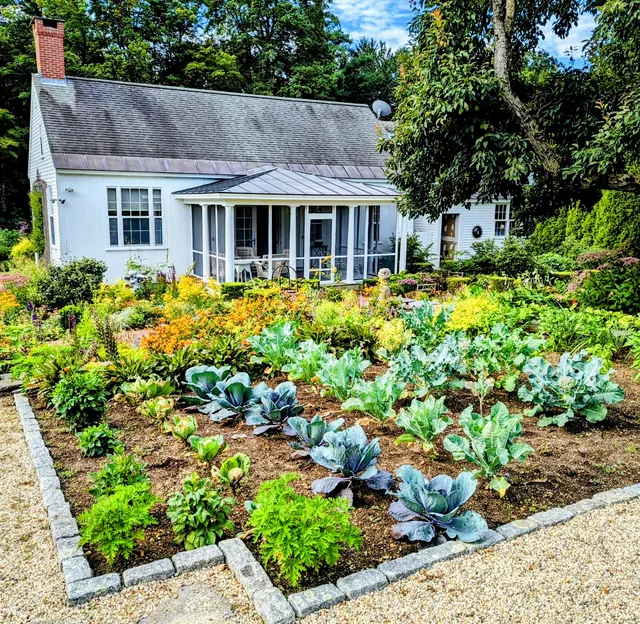 Thriving Grounds Landscaping work photo