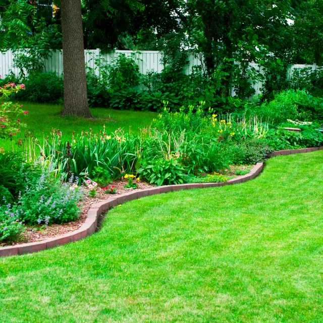lawn care services