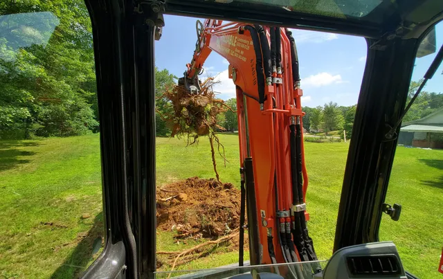 Rochester, NH (Stump Removal)