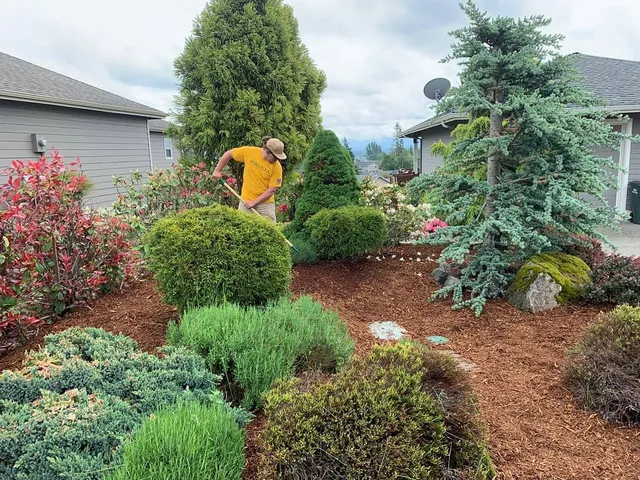 Augusta Lawn Care of Coventry work photo
