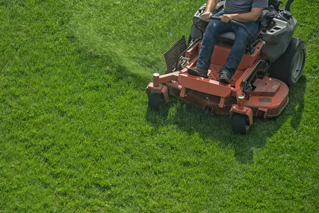 Close-up of a lawn mower cutting grass