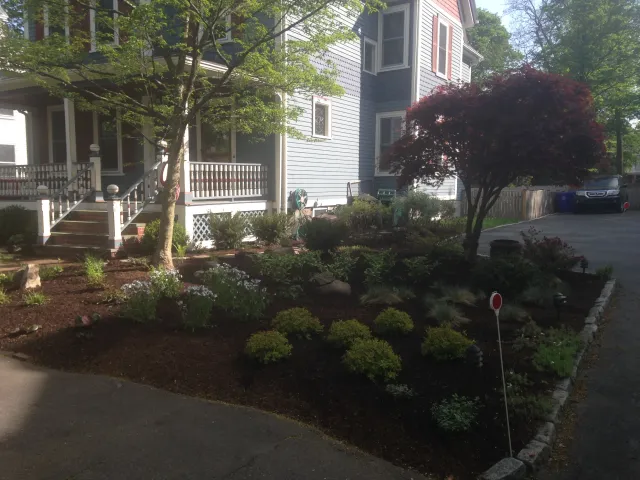 Front yard redesign, Newton MA