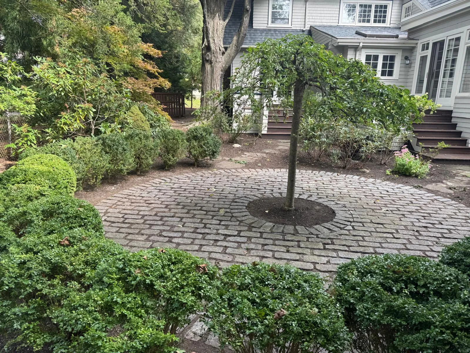 Mendoza Landscaping