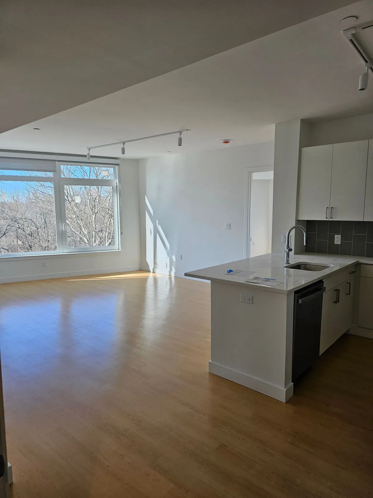 Interior of a modern apartment with wood floors, large windows, a kitchen island, and white walls.
