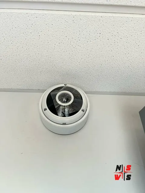 work photo from nsws.pro