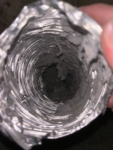 A partially cleared dryer duct with lint still clinging between the ribs of the flexible hose.