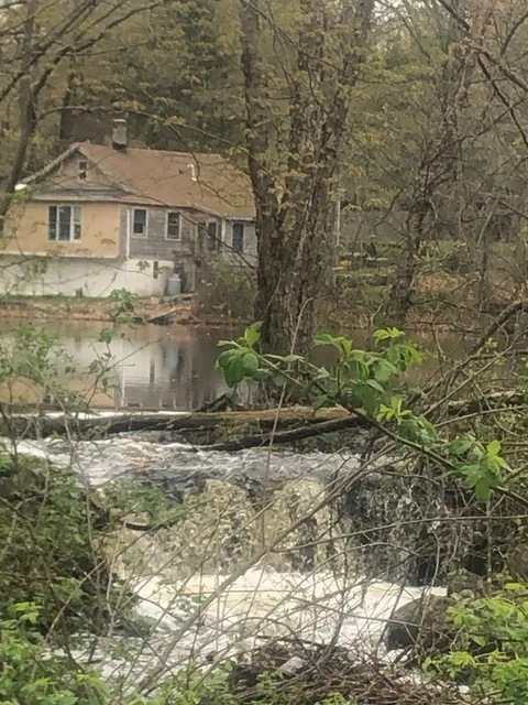 Alan's Honey Bee Removal work photo