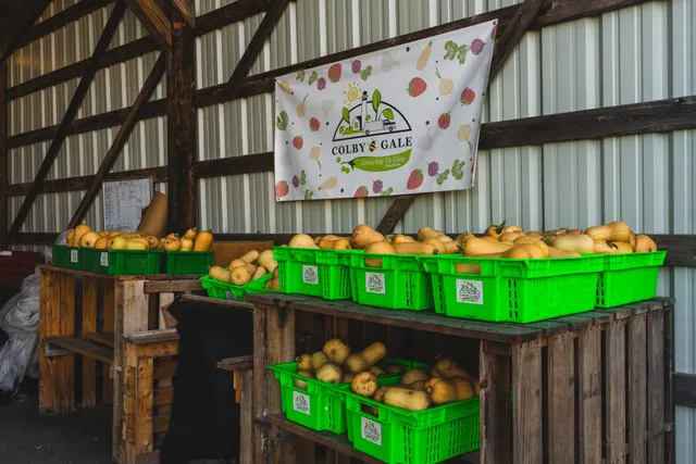 Squashes in baskets underneath food farm sign.