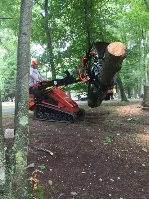 Green Acres Tree & Landscape LLC work photo