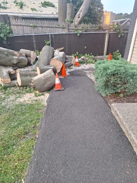 E & Brothers Tree Services LLC work photo