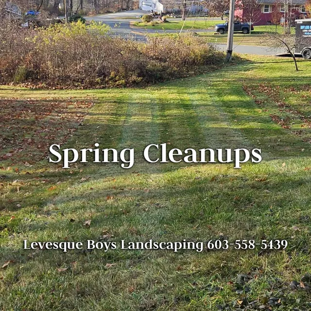 Levesque Boys Landscaping work photo