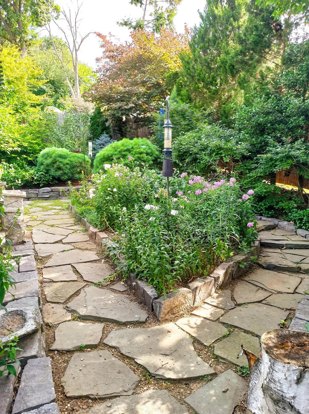Stone path and garden with flowers and greenery