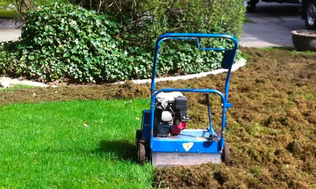 work photo from premiertopdressing.com