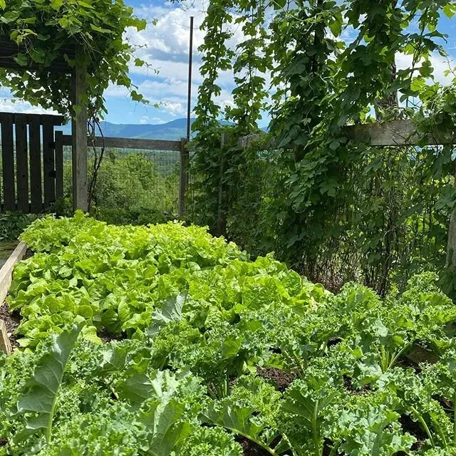 Good To Grow Gardening work photo