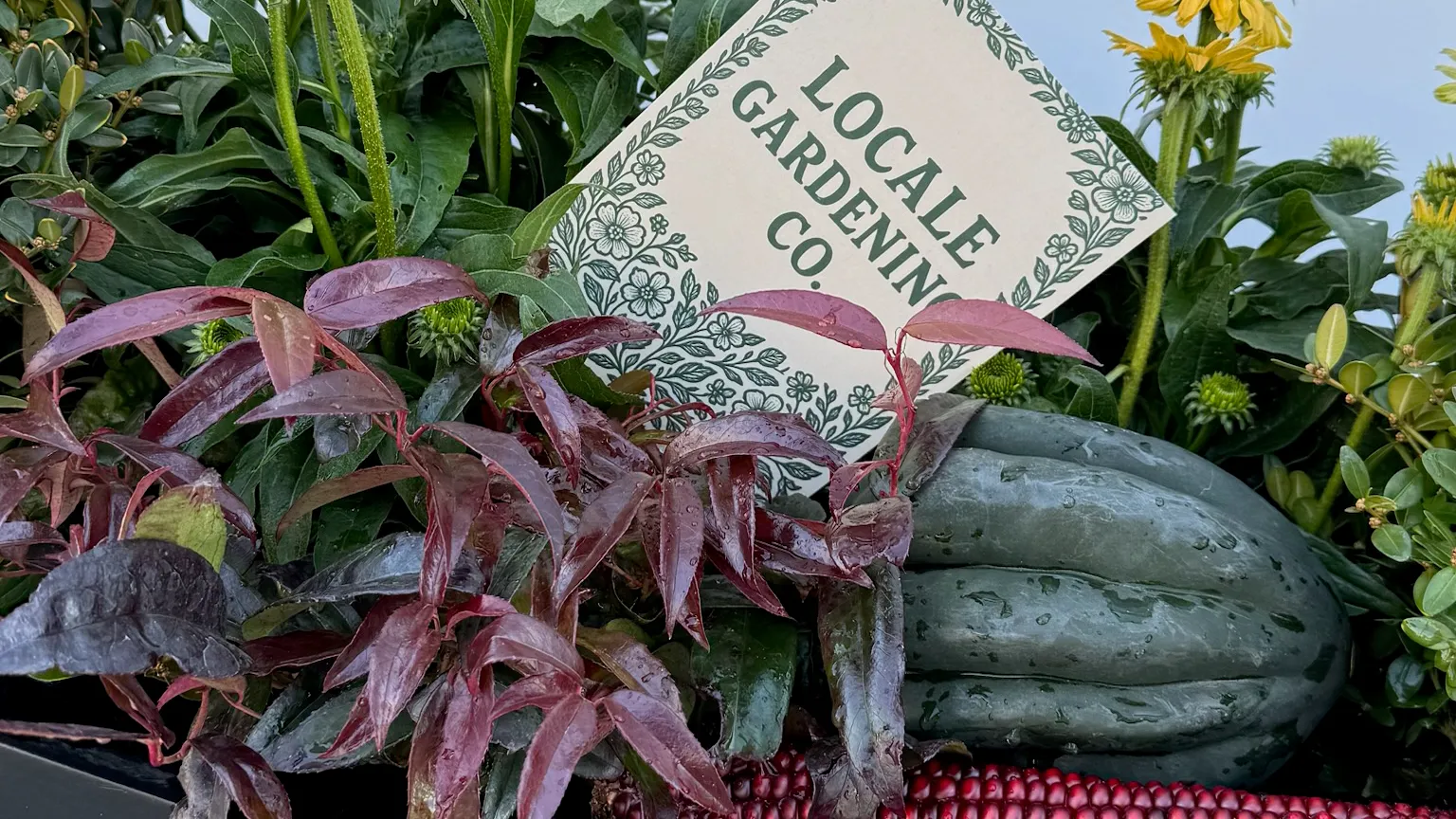 Locale Gardening Company