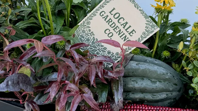 Locale Gardening Company