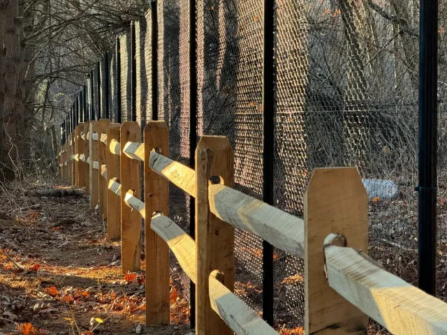 Locust split rail fence paired with deer fence in South Kent, CT.