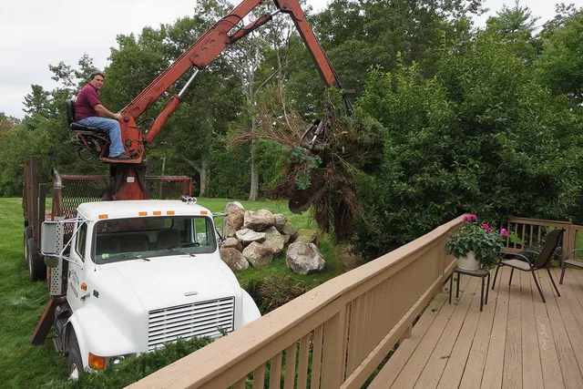 work photo from clearviewtreeserv.com