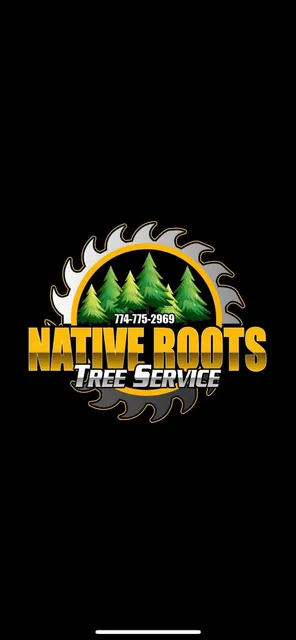 Native Roots Tree Service work photo