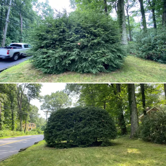 work photo from stevensonpropertymaintenance.com