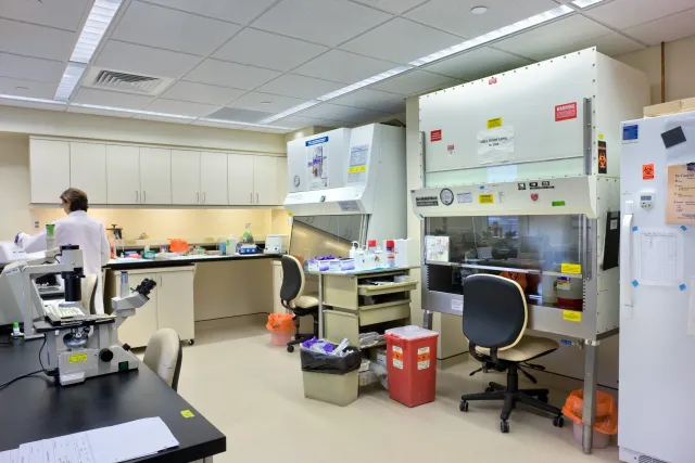 Yale New Haven Hospital Virology