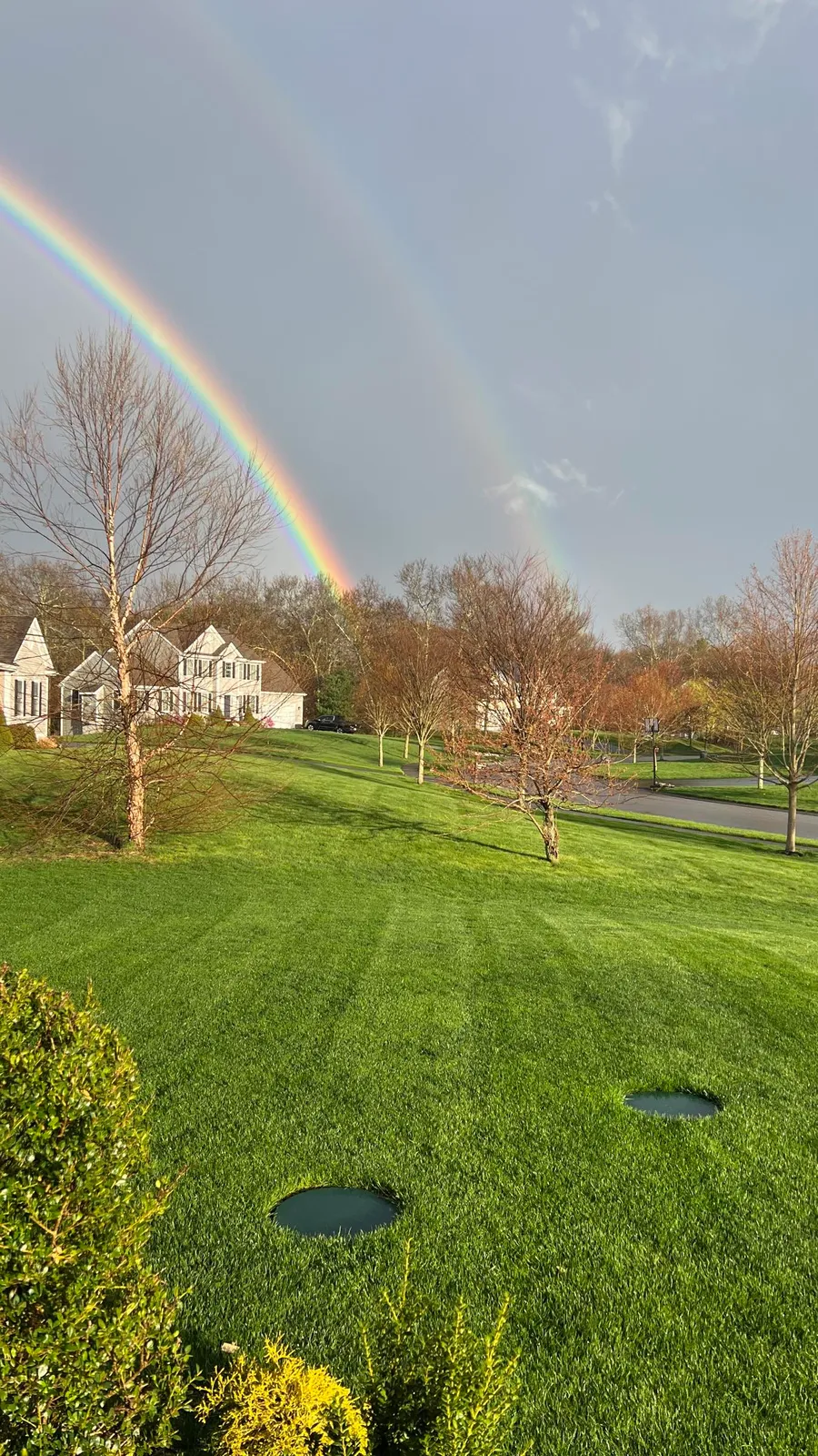 work photo from proturfcare.net