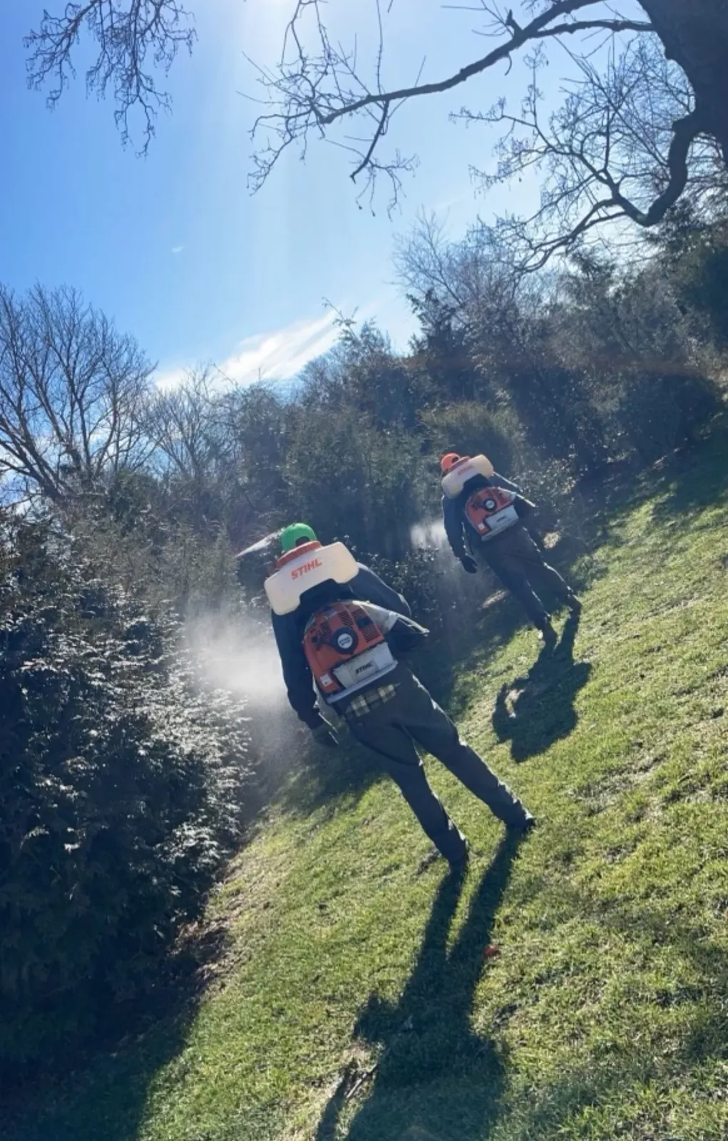 work photo from Google listing