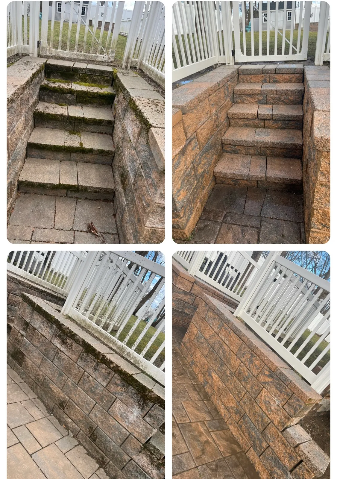 Spotted Dog Masonry