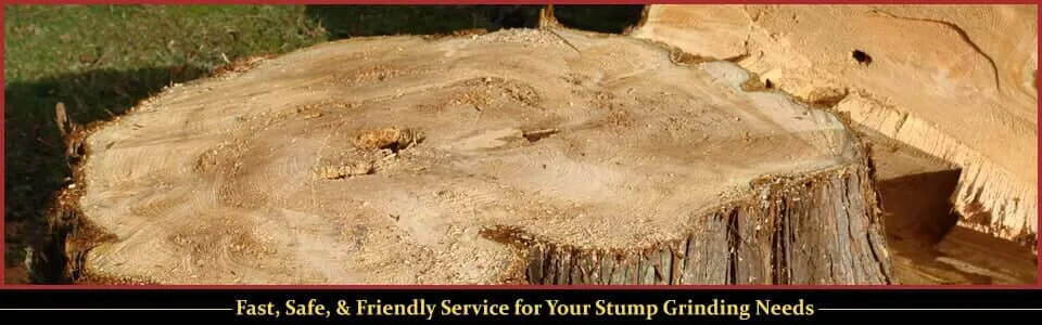 Stump Grinder | Lunenburg MA
