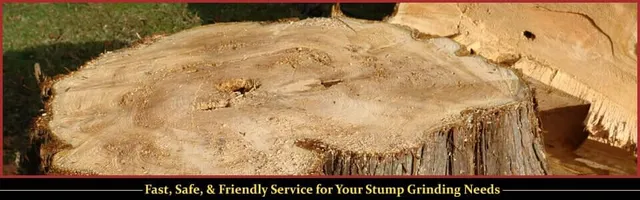Stump Grinder | Lunenburg MA