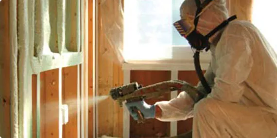 work photo from ecologices.com